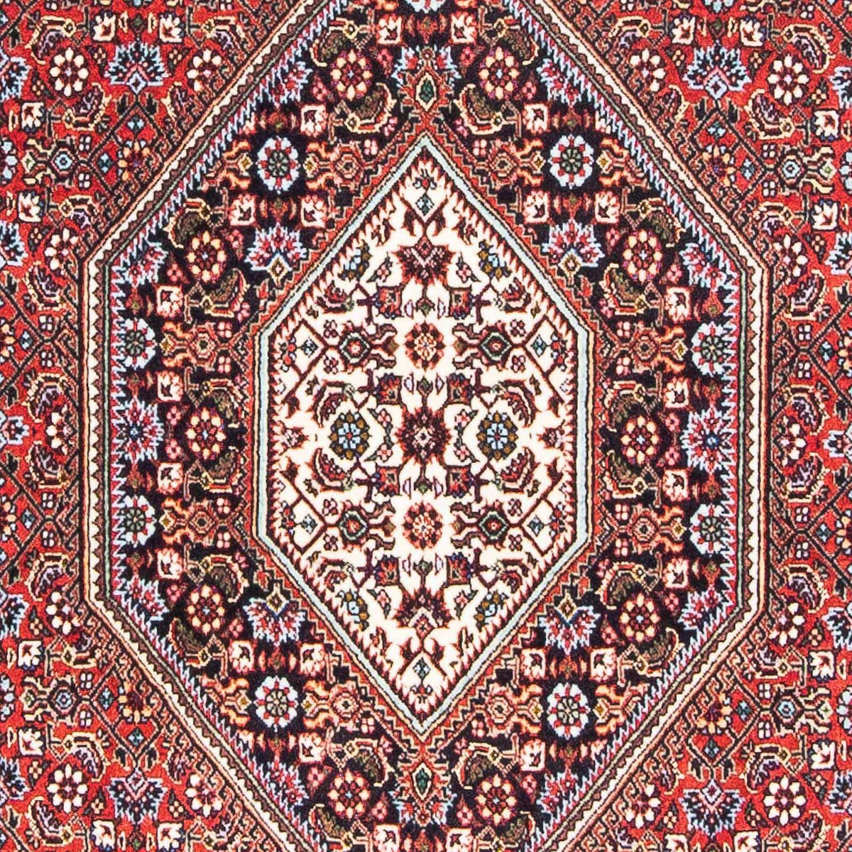 Perser Rug - Bidjar - 178 x 109 cm - red