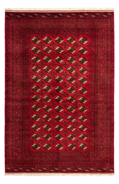 Shiraz Rug 203x290cm - Persian Rugs