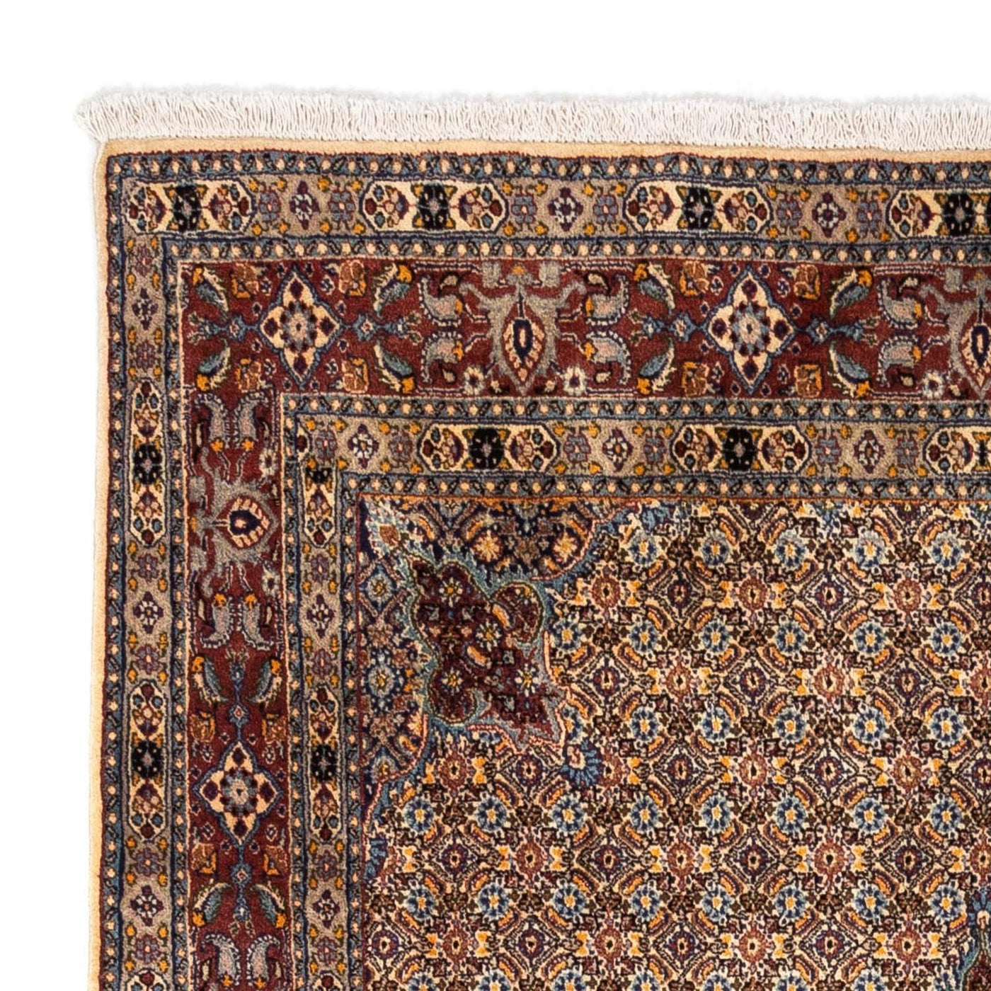 Moud Rug 238x160cm - Persian Rugs