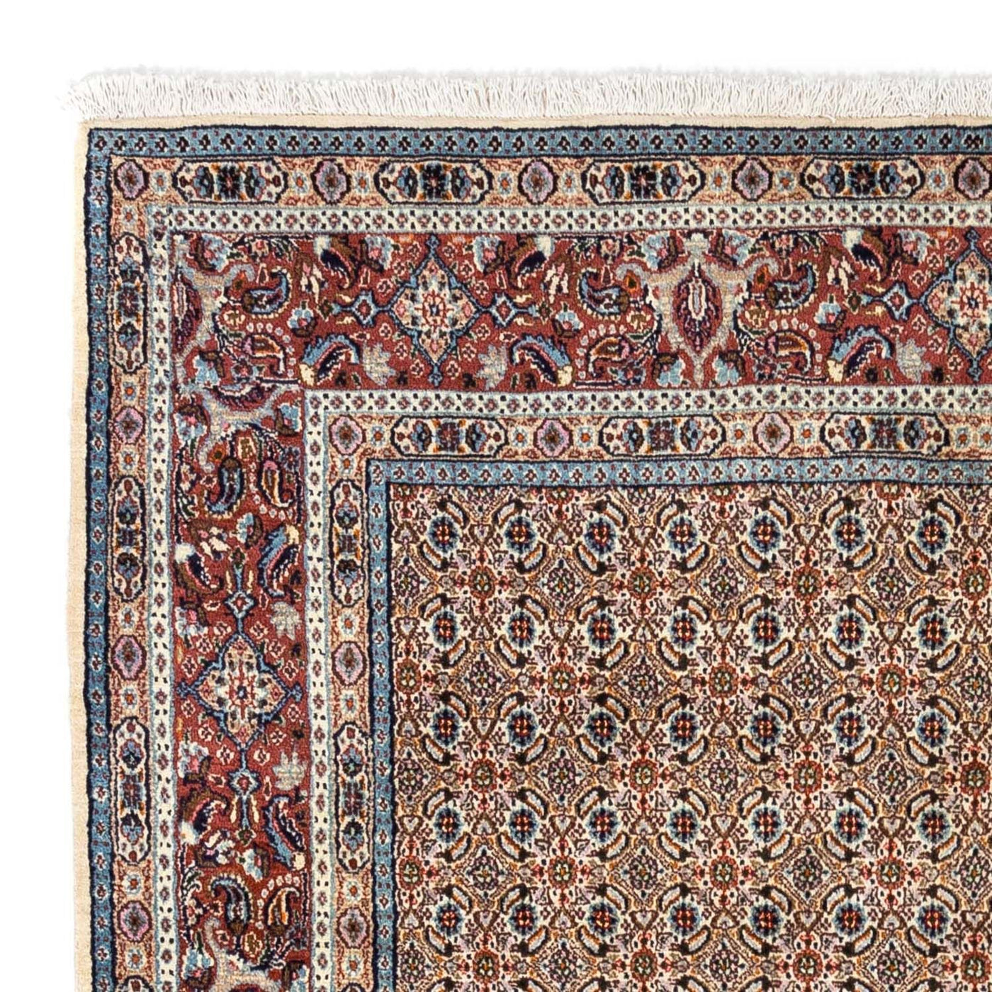 Moud Rug 235x168cm - Persian Rugs