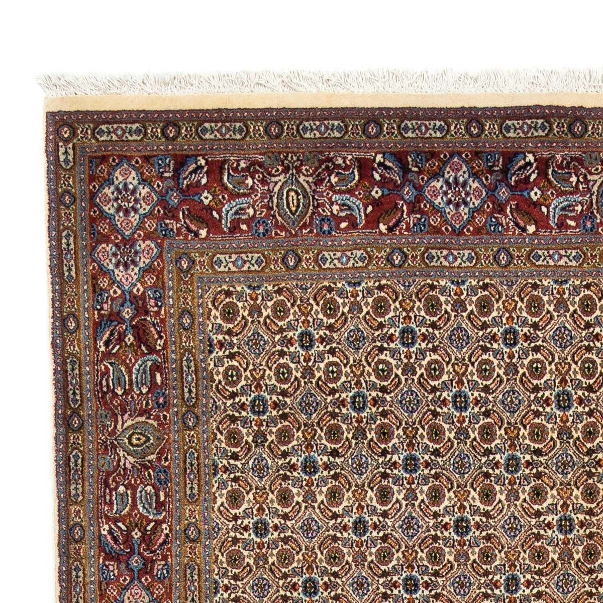 Moud Rug 166x250cm - Persian Rugs