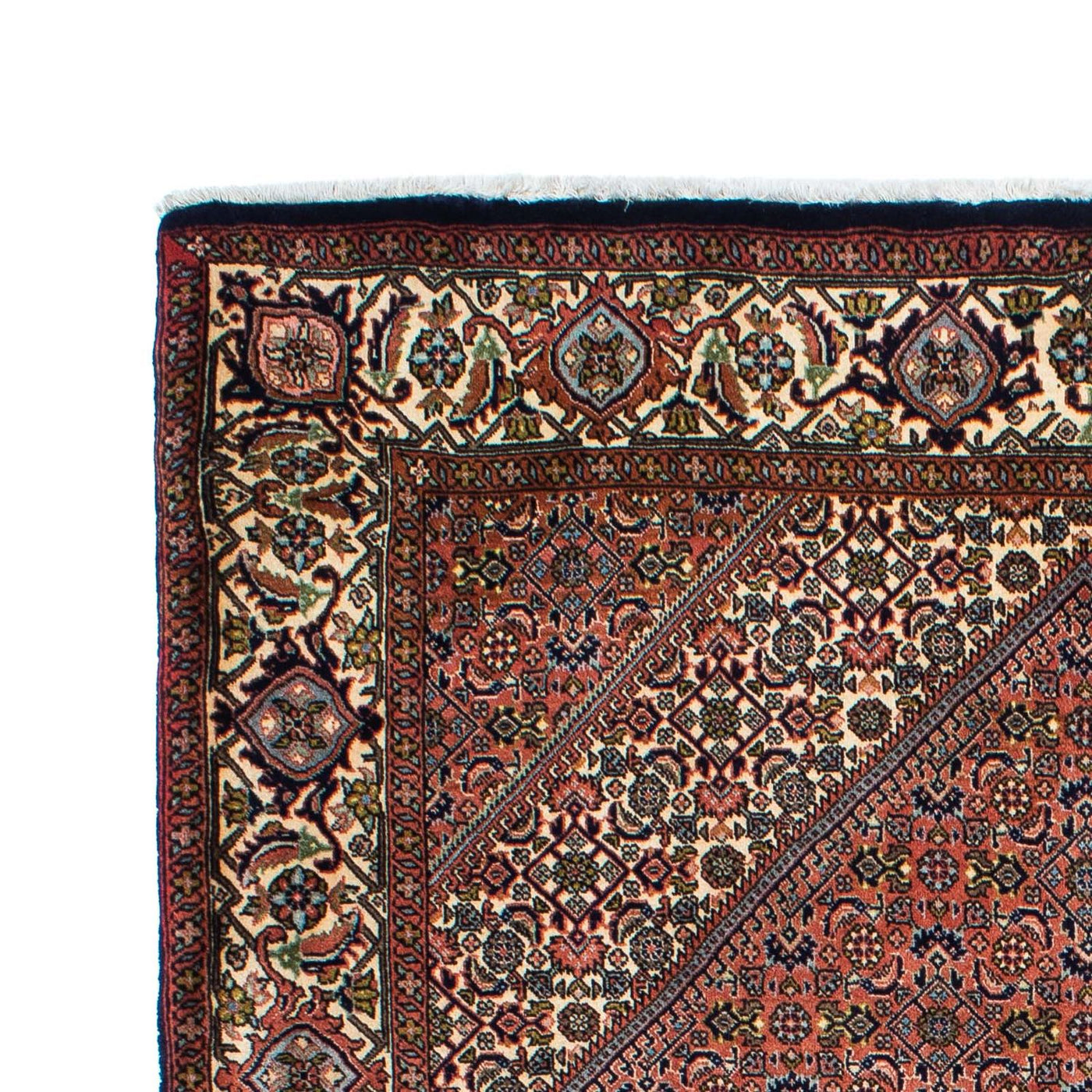 Bidjar Rug 210x136cm - Persian Rugs