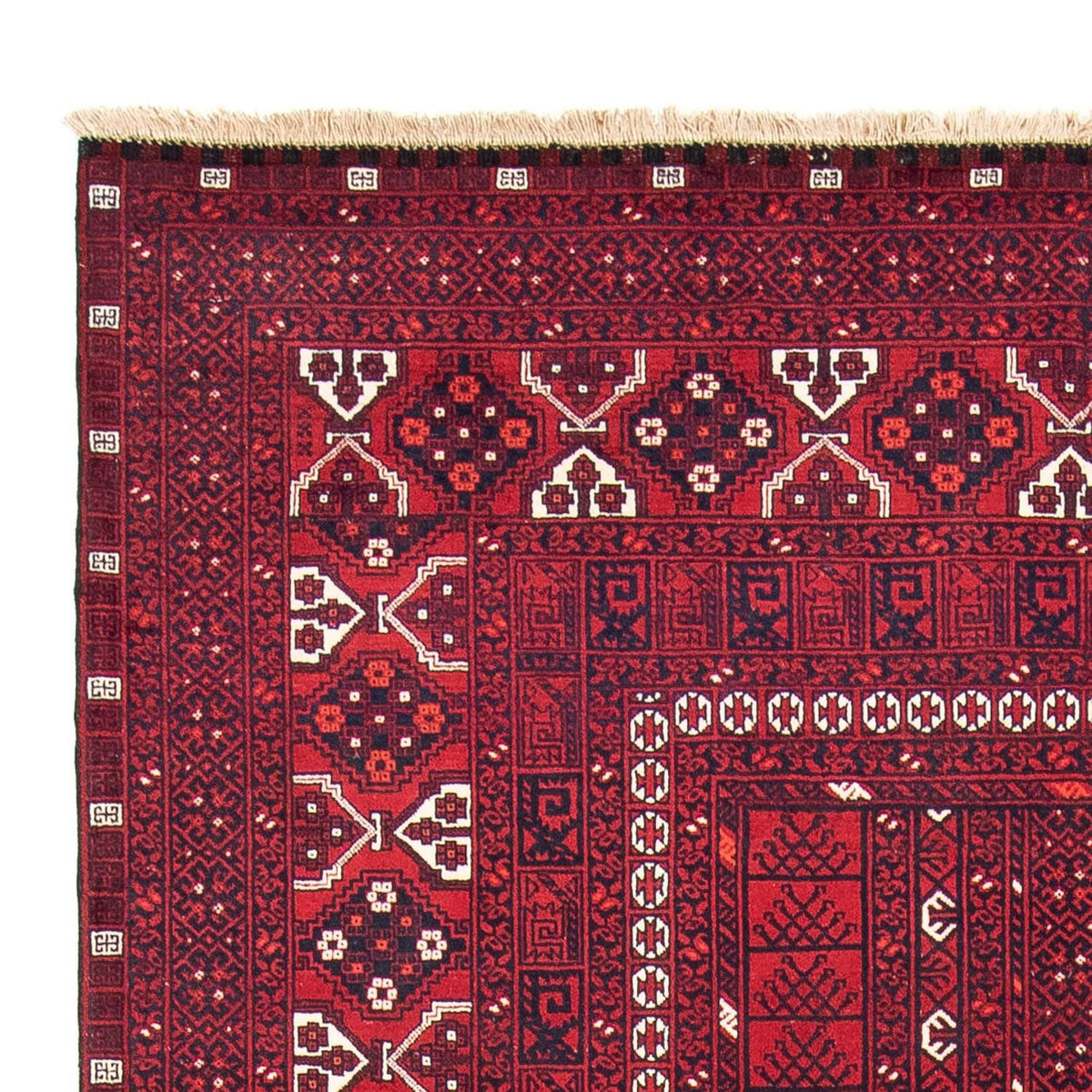 Turkaman Rug 160x252cm - Persian Rugs