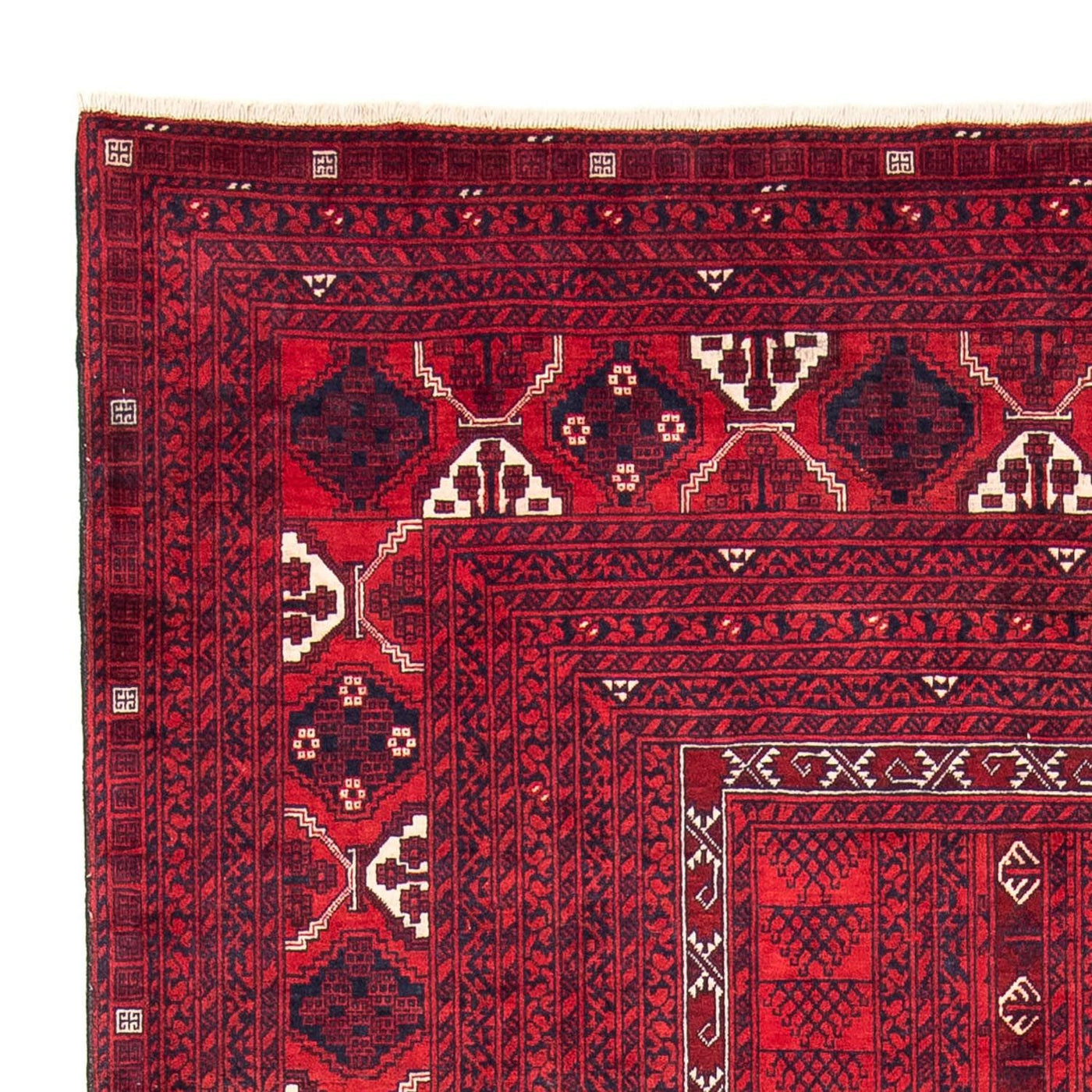Turkaman Rug 240x157cm - Persian Rugs