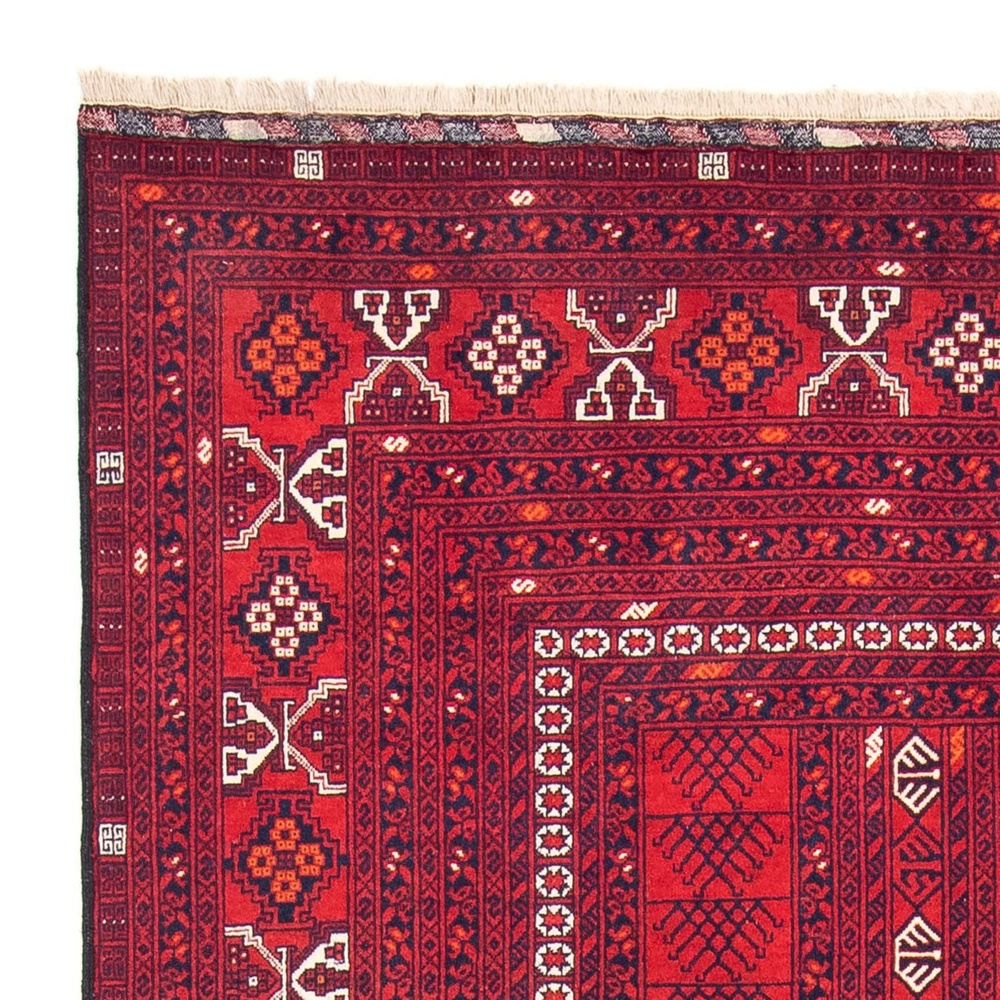 Turkaman Rug 245x158cm - Persian Rugs