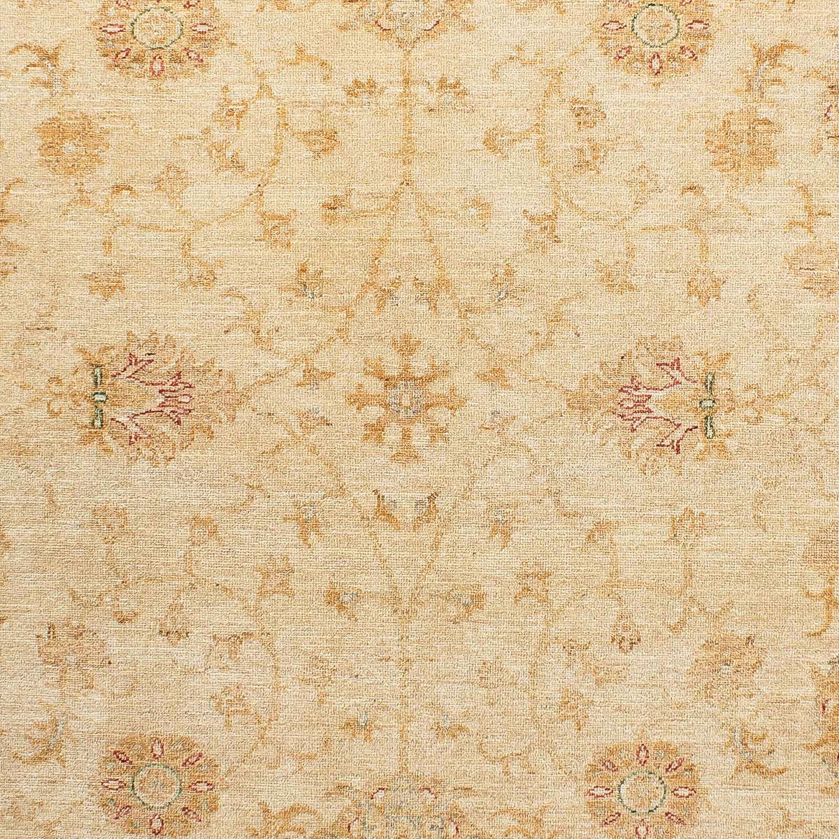 Ziegler Rug - 236 x 175 cm - light brown