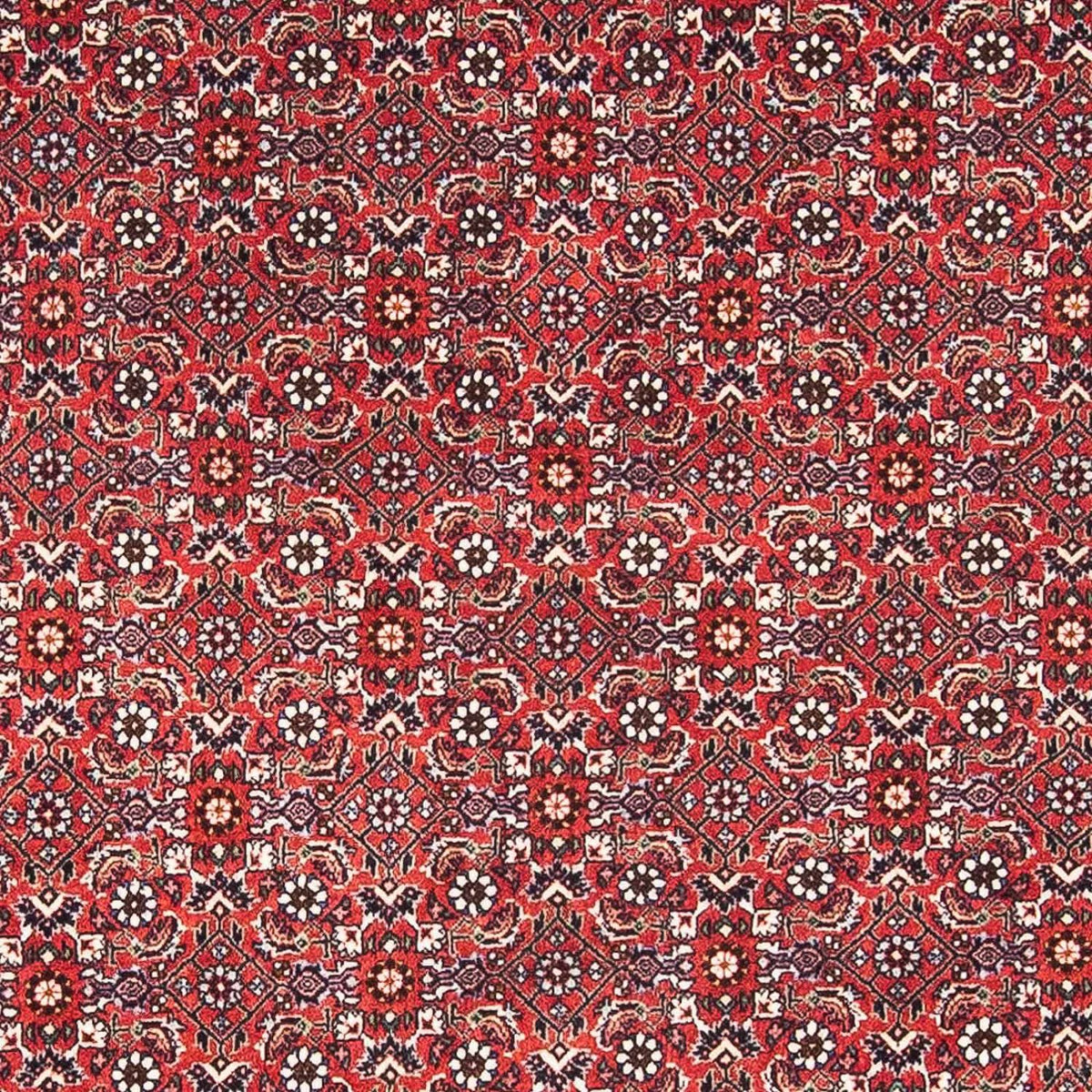Perser Rug - Bidjar - 174 x 111 cm - red