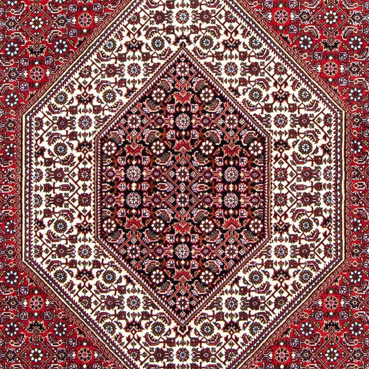 Perser Rug - Bidjar - 250 x 149 cm - red