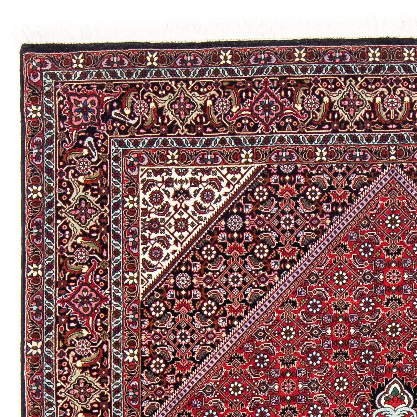 Bidjar Rug 250x149cm - Persian Rugs