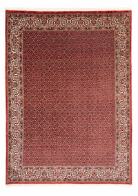 Perser Rug - Bidjar - 330 x 246 cm - red