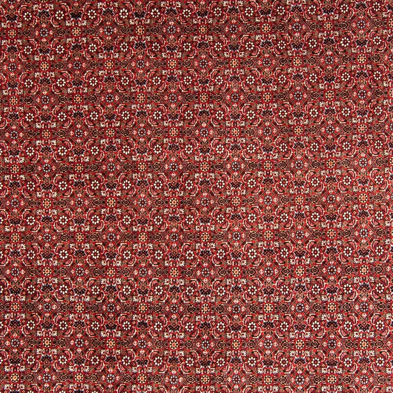 Perser Rug - Bidjar - 330 x 246 cm - red