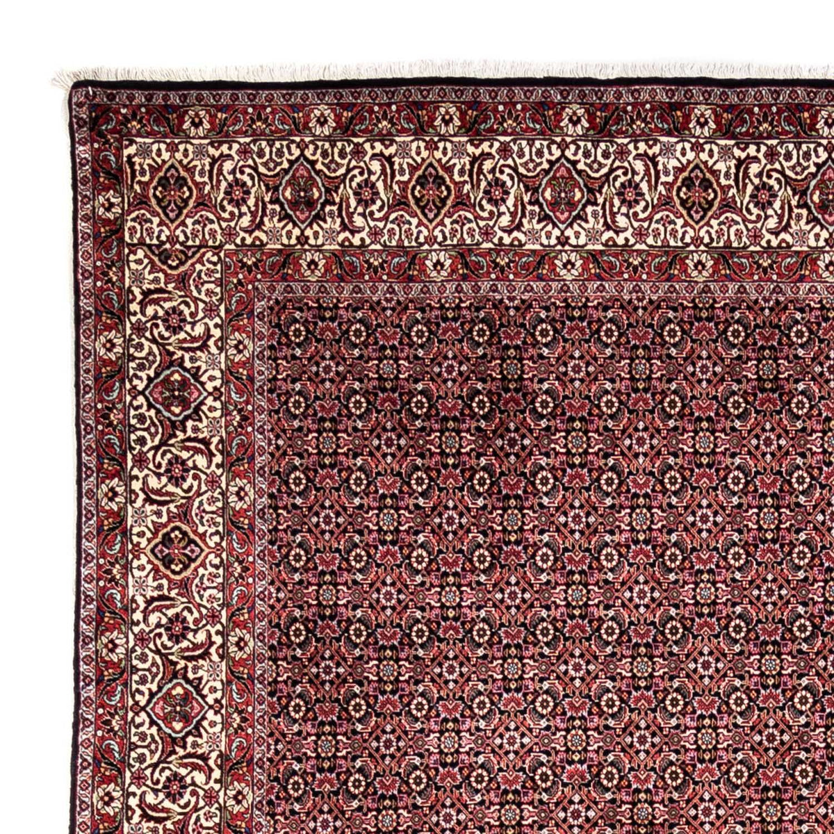 Perser Rug - Bidjar - 345 x 246 cm - red