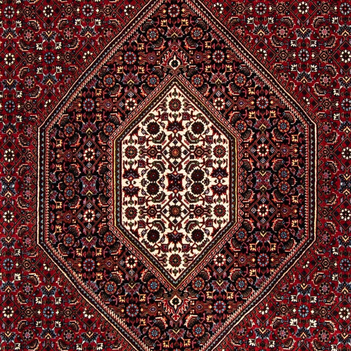 Perser Rug - Bidjar - 248 x 148 cm - dark red
