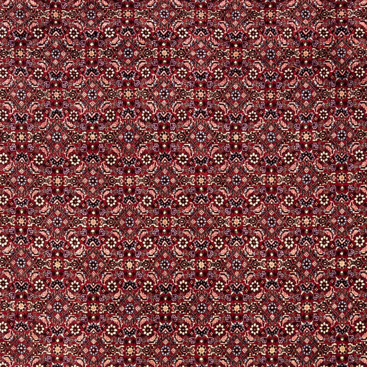Perser Rug - Bidjar - 349 x 250 cm - red