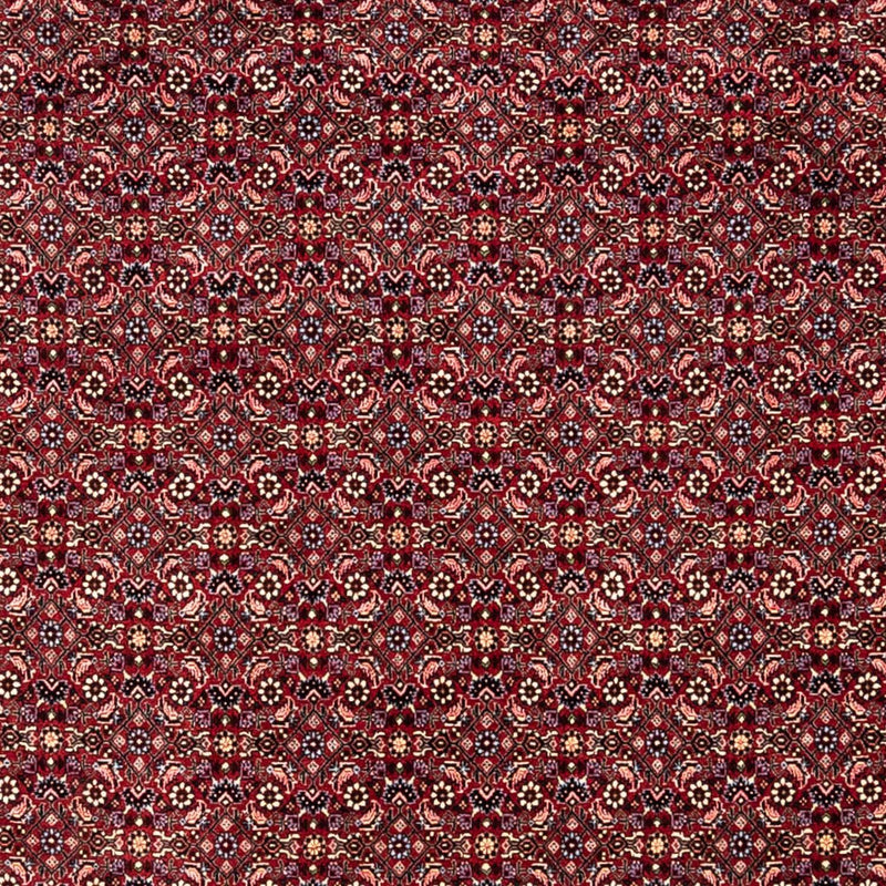 Perser Rug - Bidjar - 349 x 250 cm - red