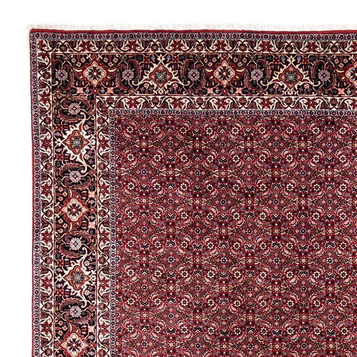 Perser Rug - Bidjar - 349 x 250 cm - red