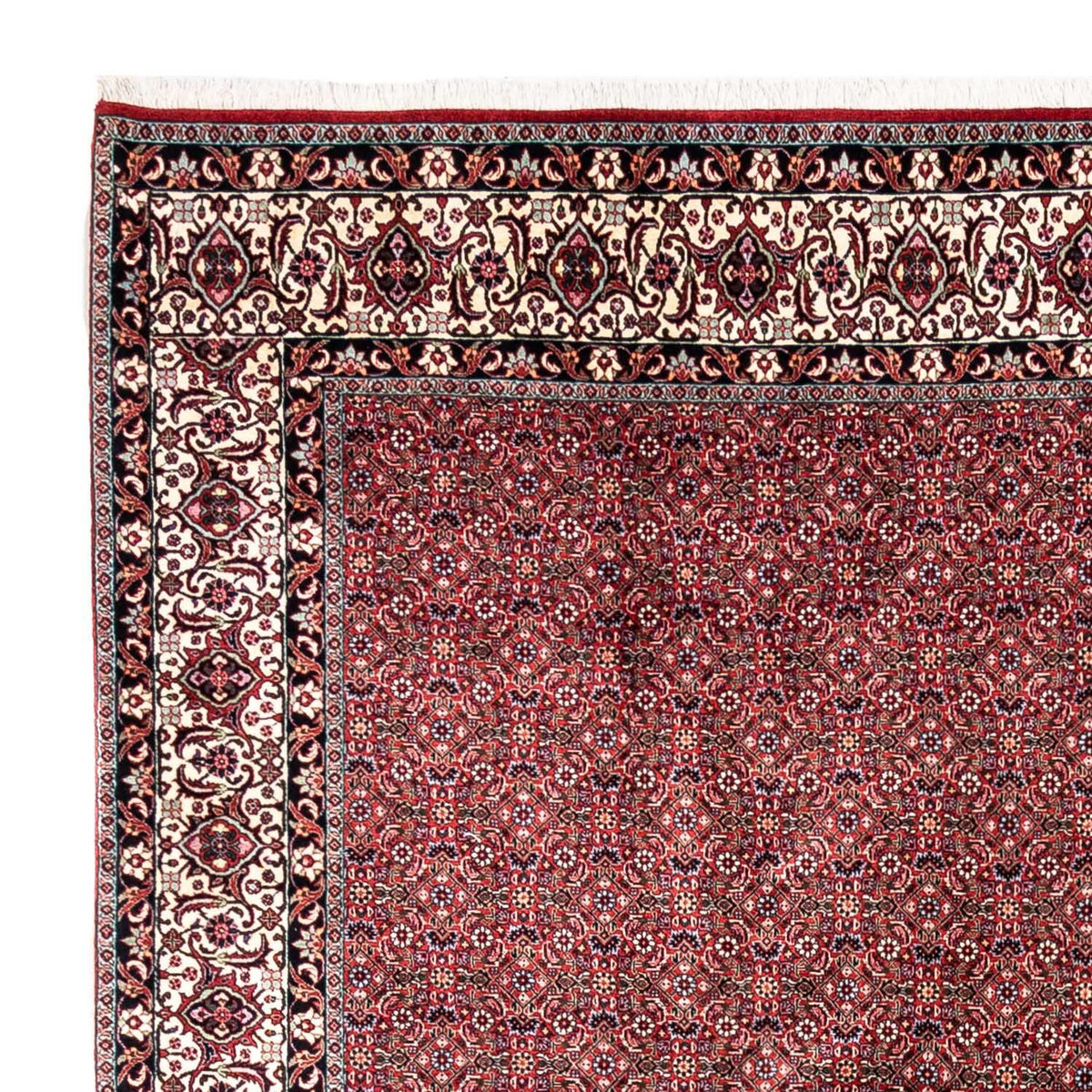 Bidjar - Takab Rug 255x335cm - Persian Rugs