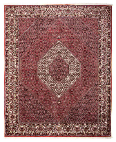 Bidjar Rug 248x293cm - Persian Rugs - light red
