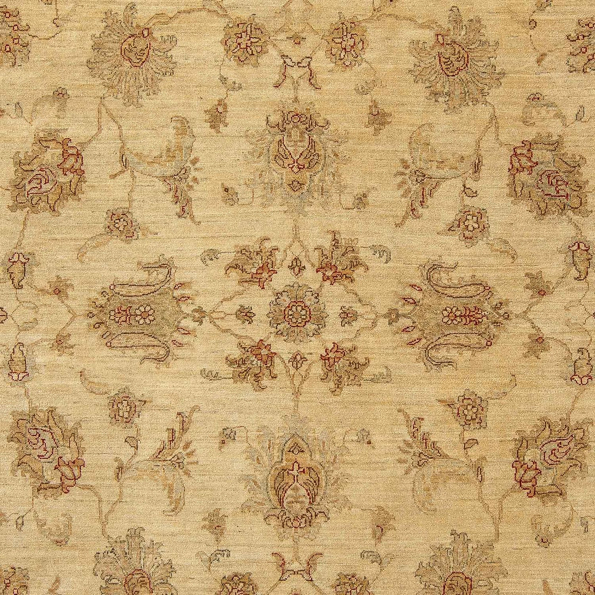 Ziegler Rug - 315 x 246 cm - light brown