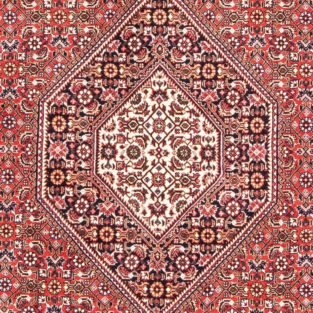 Perser Rug - Bidjar - 181 x 109 cm - light red