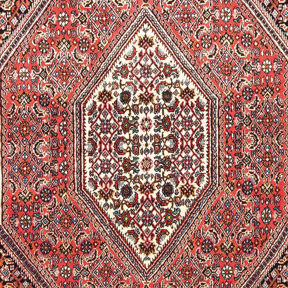 Perser Rug - Bidjar - 160 x 108 cm - light red