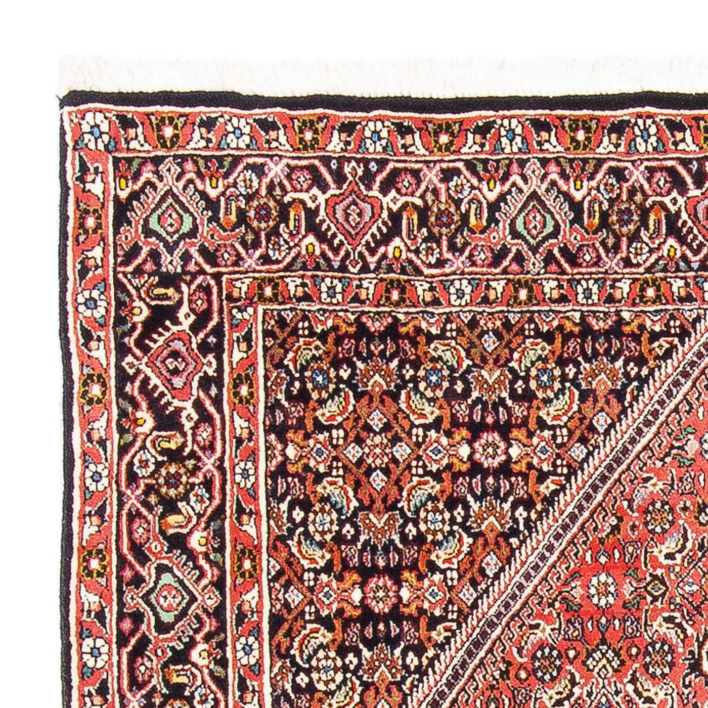 Bidjar Rug 160x108cm - Persian Rugs