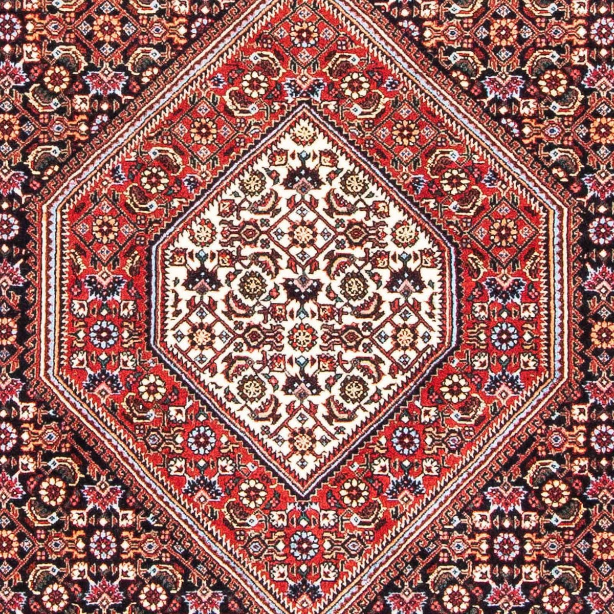 Perser Rug - Bidjar - 177 x 109 cm - red