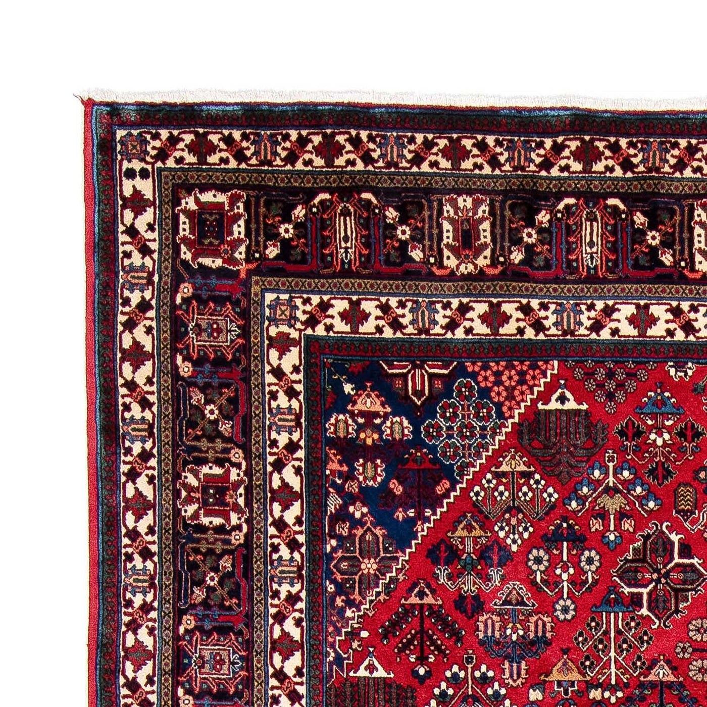 Meymeh Rug 343x235cm - Persian Rugs
