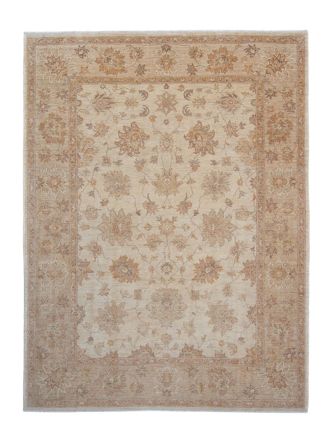 Ziegler Rug - 337 x 249 cm - light beige