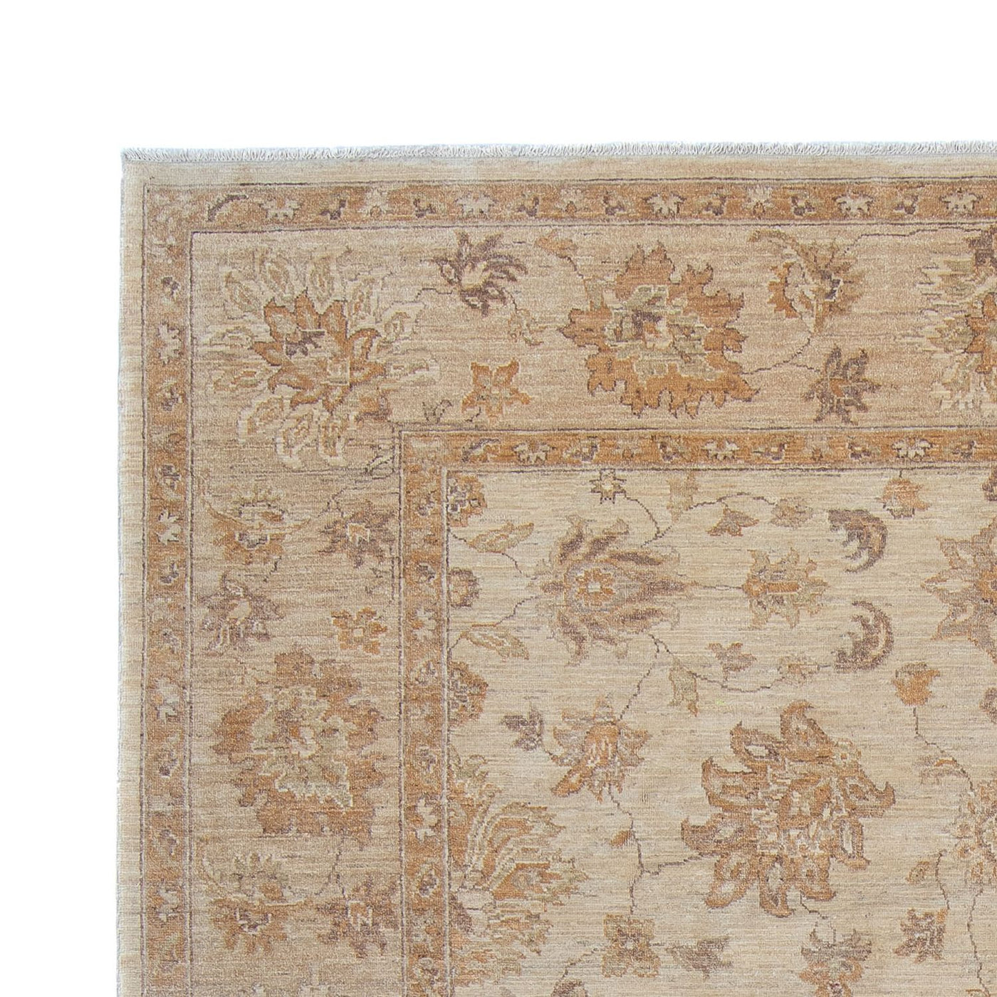 Ziegler Rug 337x249cm - Oriental Rug