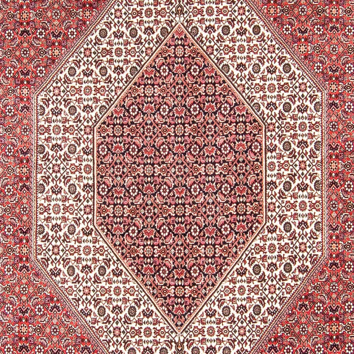 Perser Rug - Bidjar - 318 x 251 cm - light red