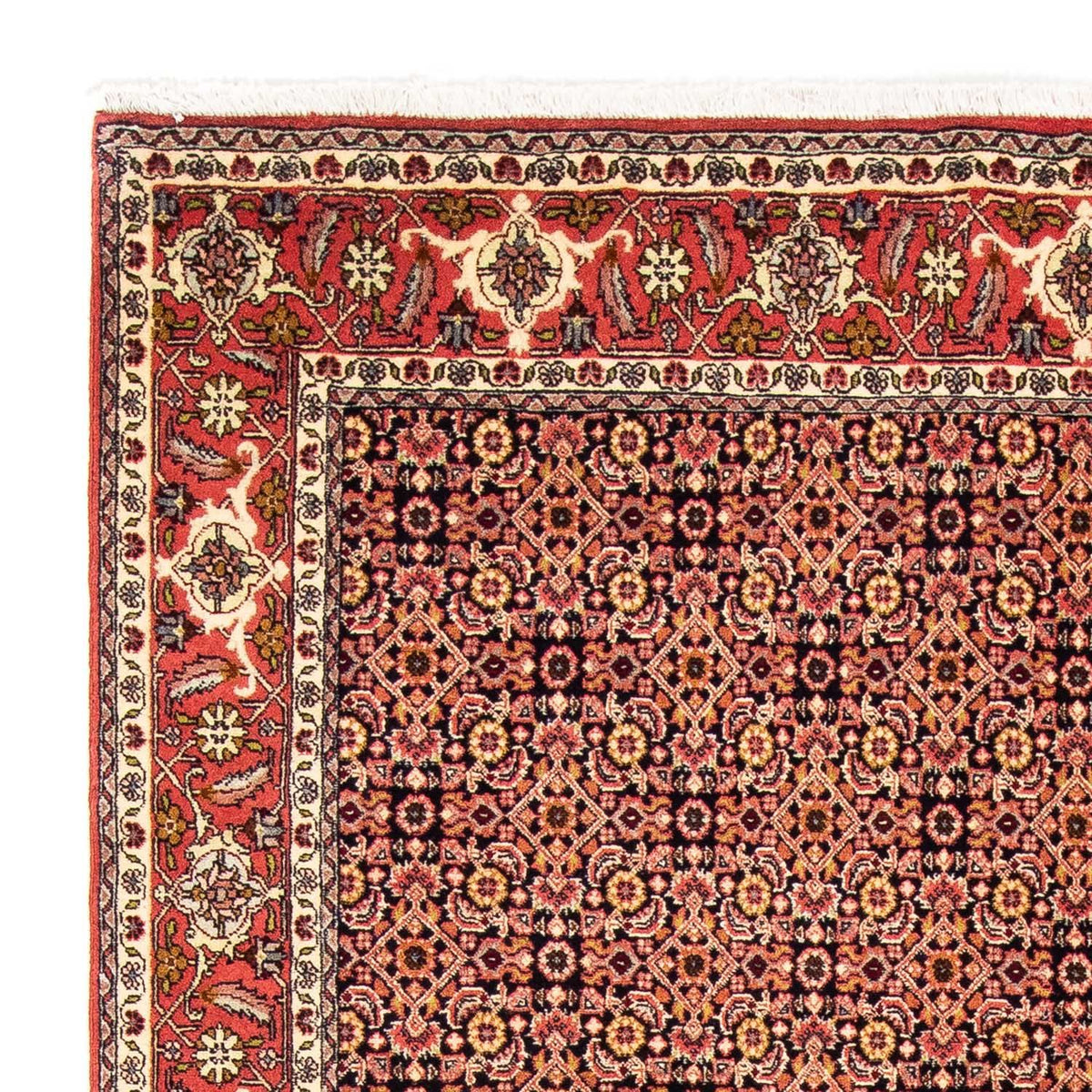 Perser Rug - Bidjar - 235 x 171 cm - light red