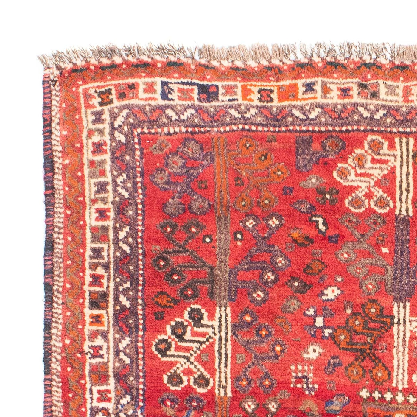 Shiraz Rug 162x110cm - Persian Rugs
