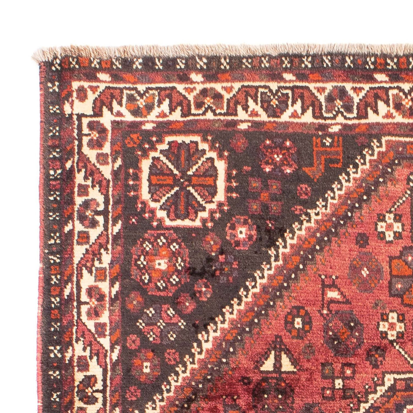 Shiraz Rug 164x118cm - Persian Rugs