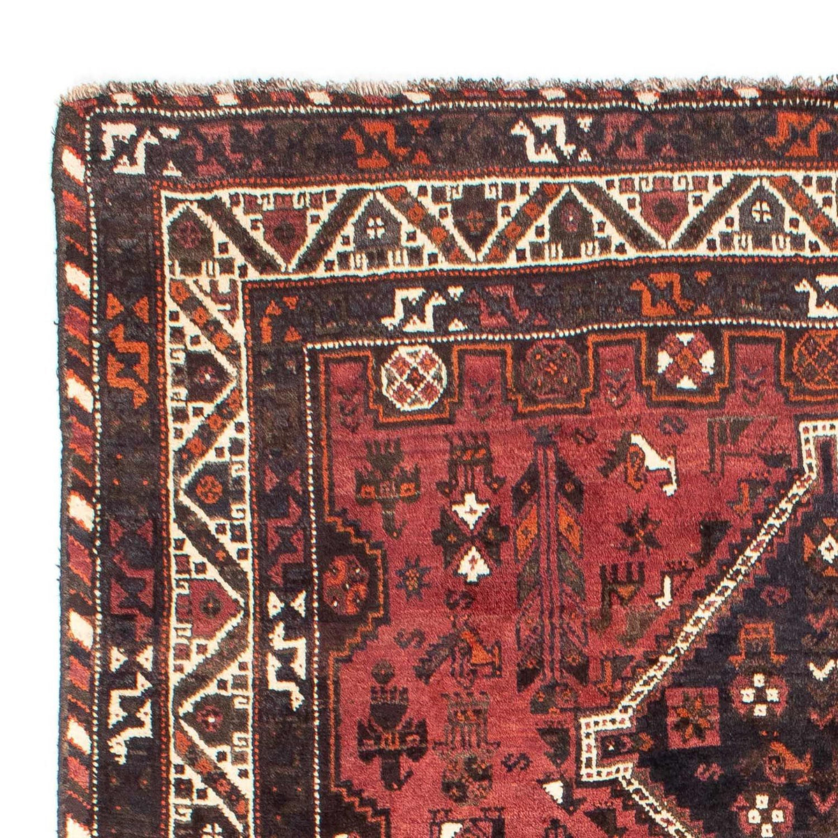 Shiraz Rug 210x307cm - Persian Rugs