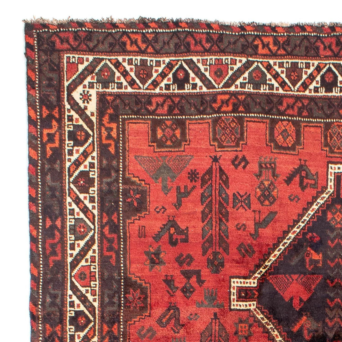 Shiraz Rug 318x206cm - Persian Rugs