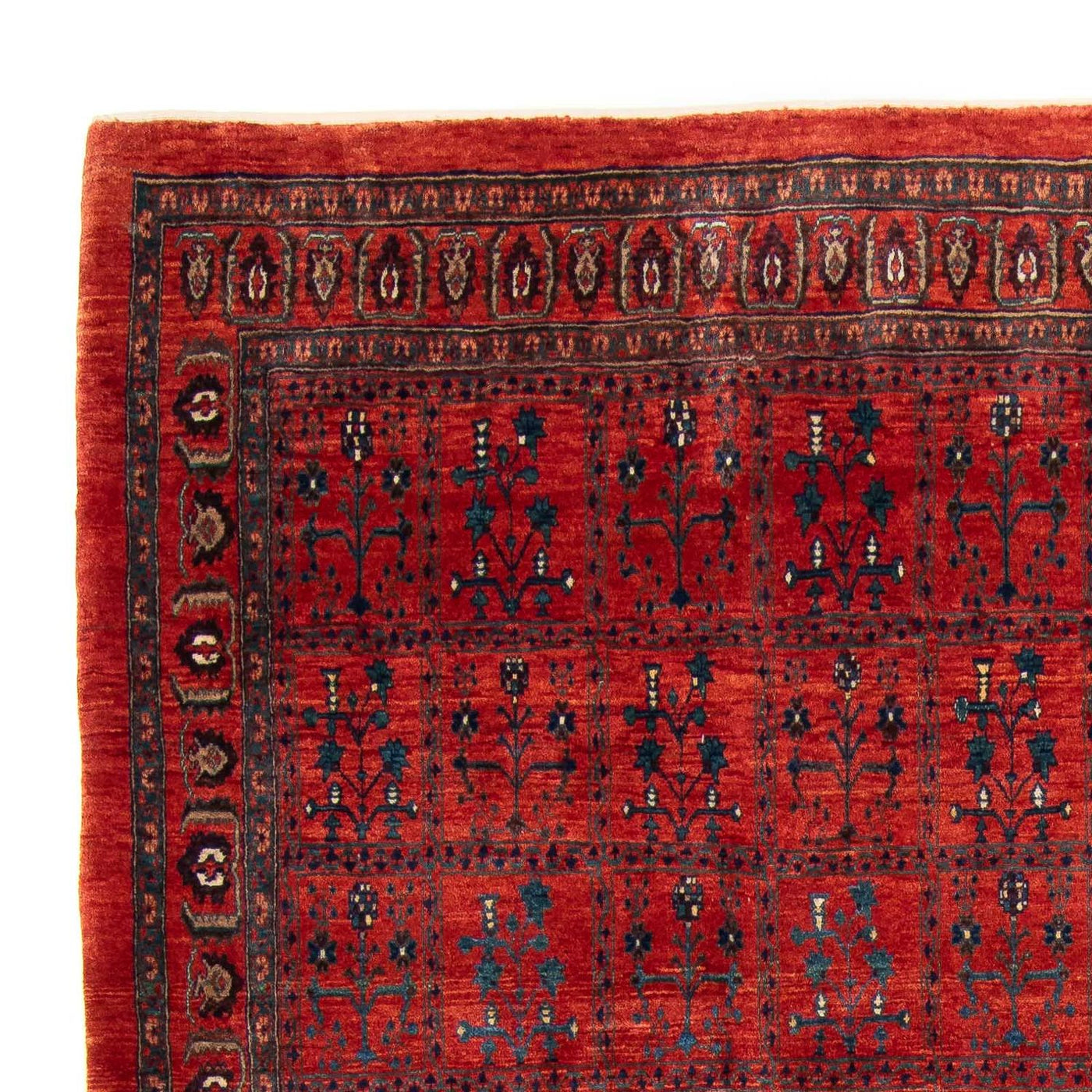 Kashkuli Rug 345x260cm - Persian Rugs