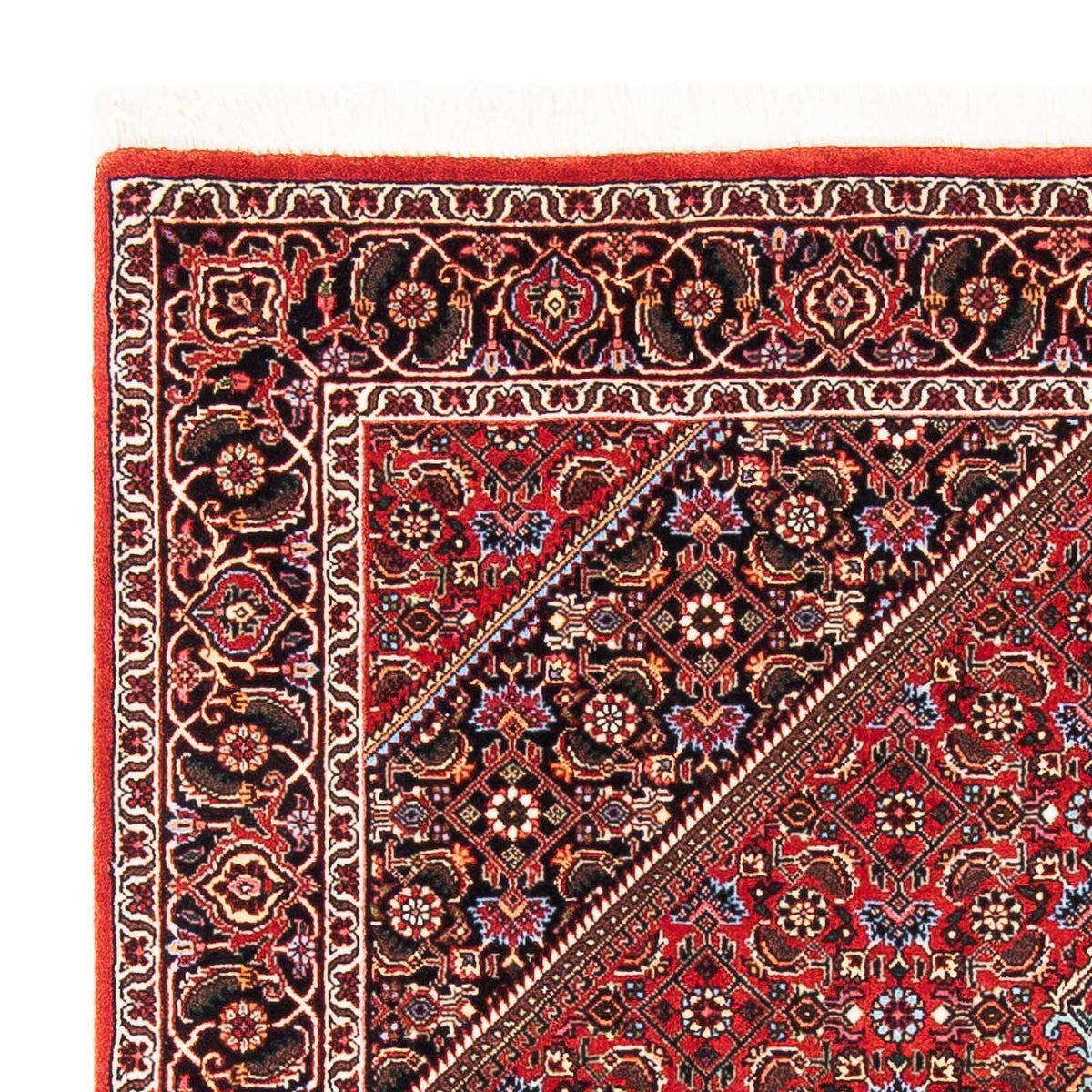 Perser Rug - Bidjar - 181 x 111 cm - red