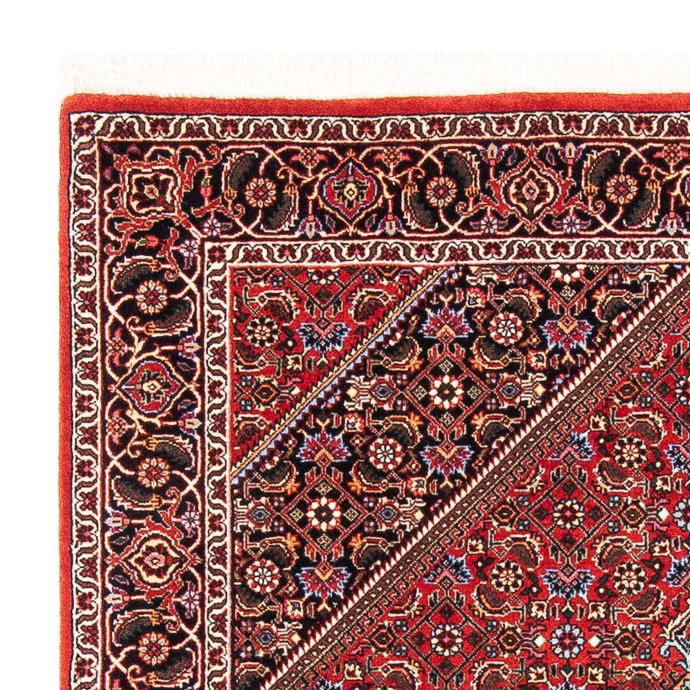 Bidjar Rug 181x111cm - Persian Rugs