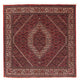 Bidjar Rug 152x148cm - Persian Rugs