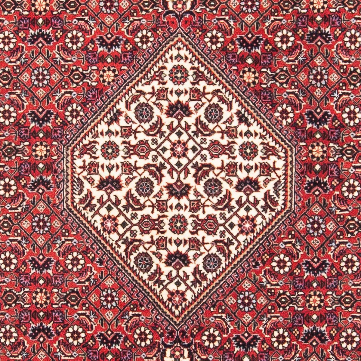 Perser Rug - Bidjar square  - 115 x 101 cm - red