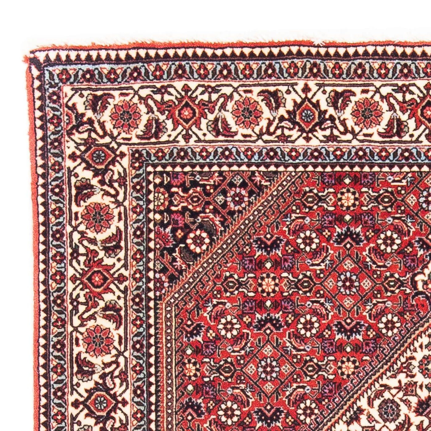 Bidjar Rug 115x101cm - Persian Rugs