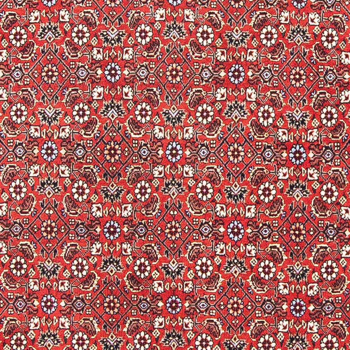 Perser Rug - Bidjar square  - 98 x 97 cm - red