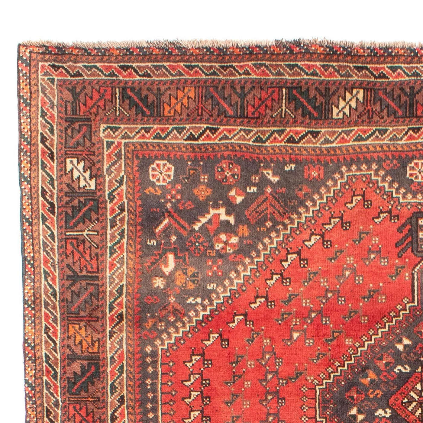 Shiraz Rug 279x203cm - Persian Rugs
