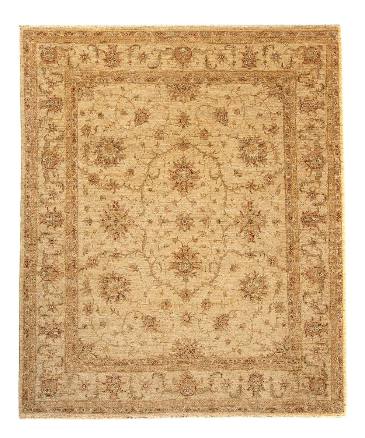 Ziegler Rug - 296 x 245 cm - light brown