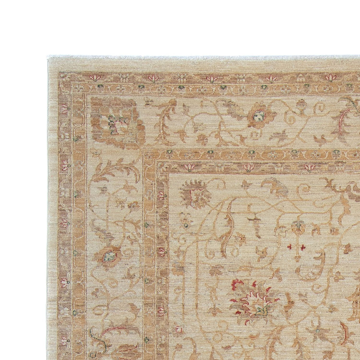 Ziegler Rug - 347 x 245 cm - light beige