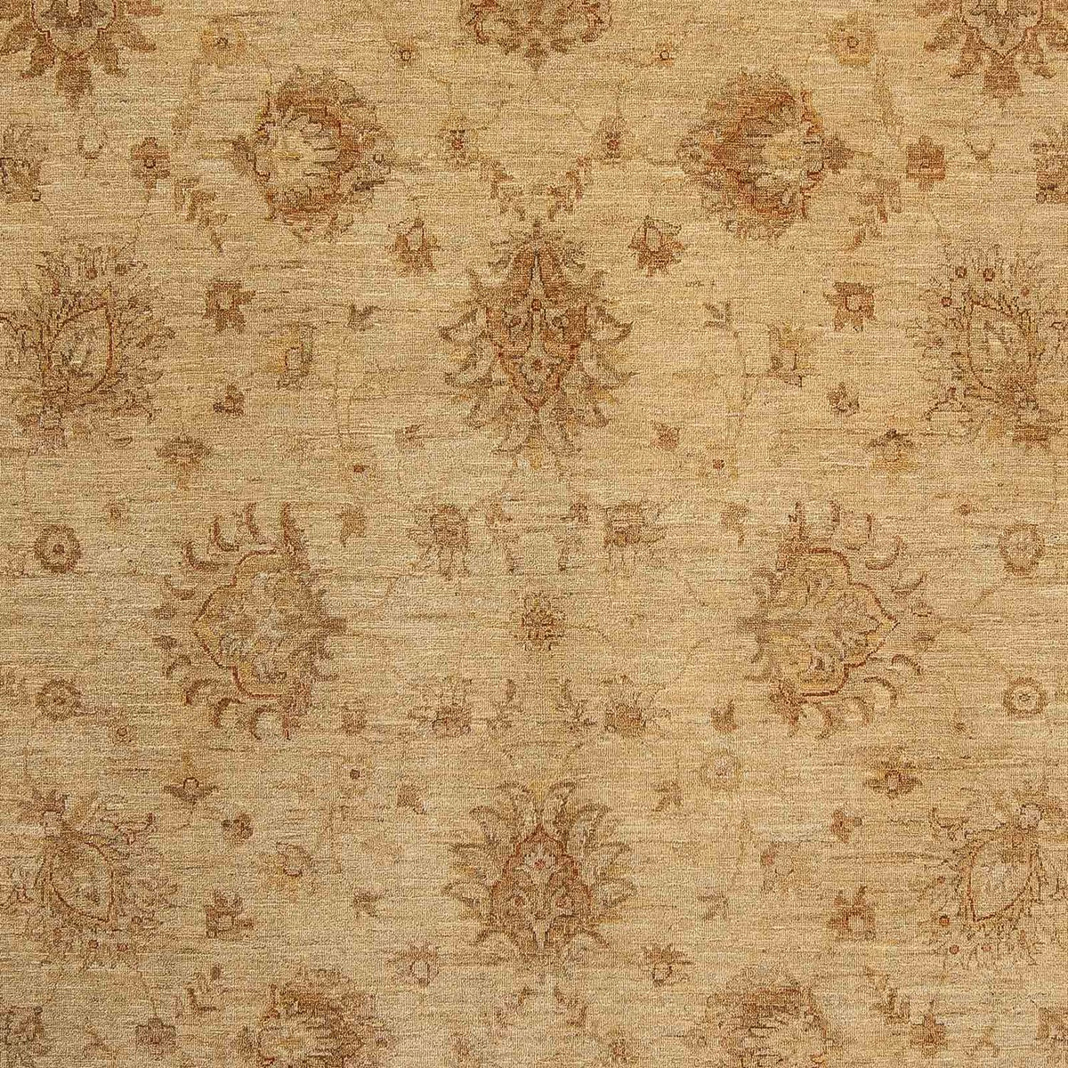 Ziegler Rug - 290 x 246 cm - light brown