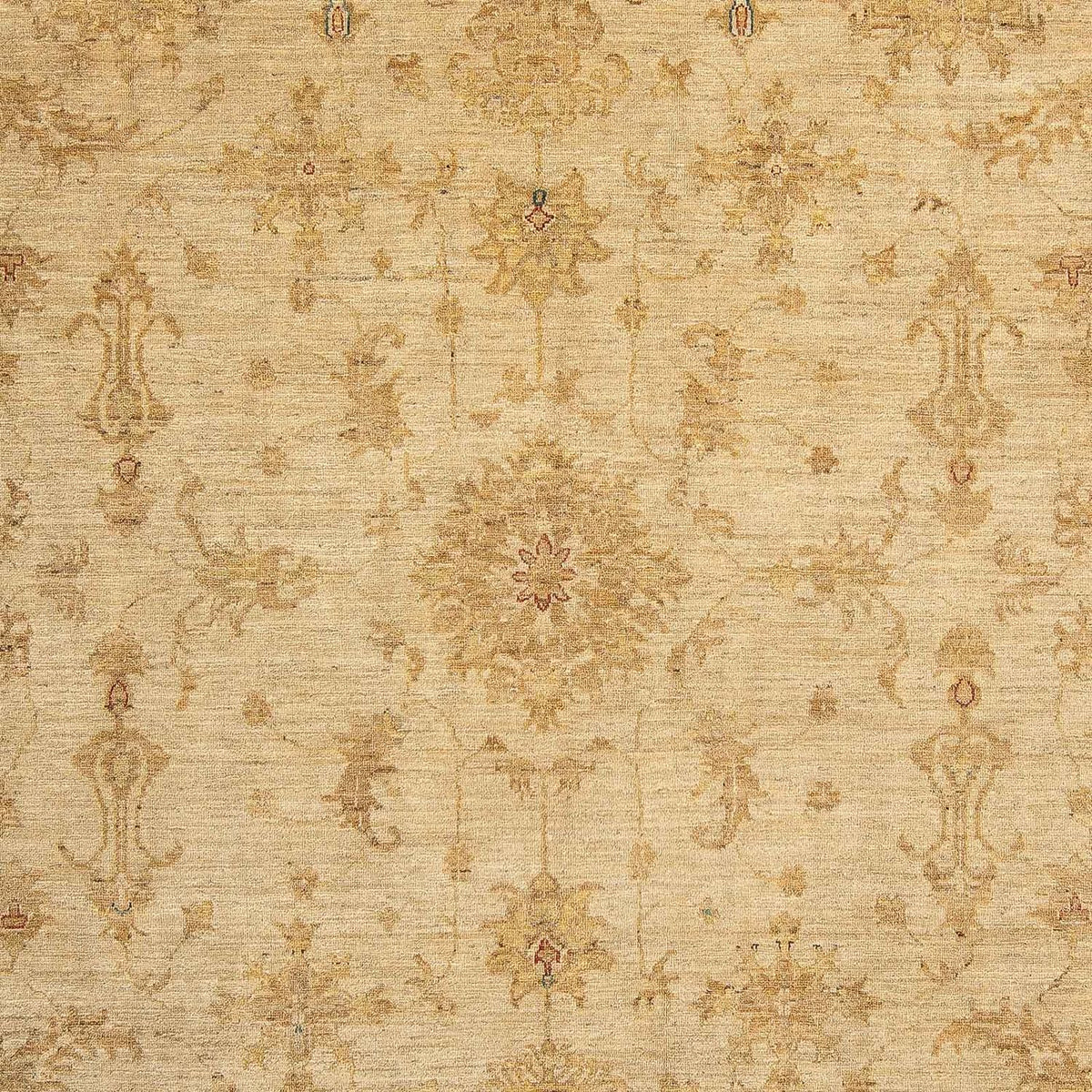 Ziegler Rug - 307 x 250 cm - light brown