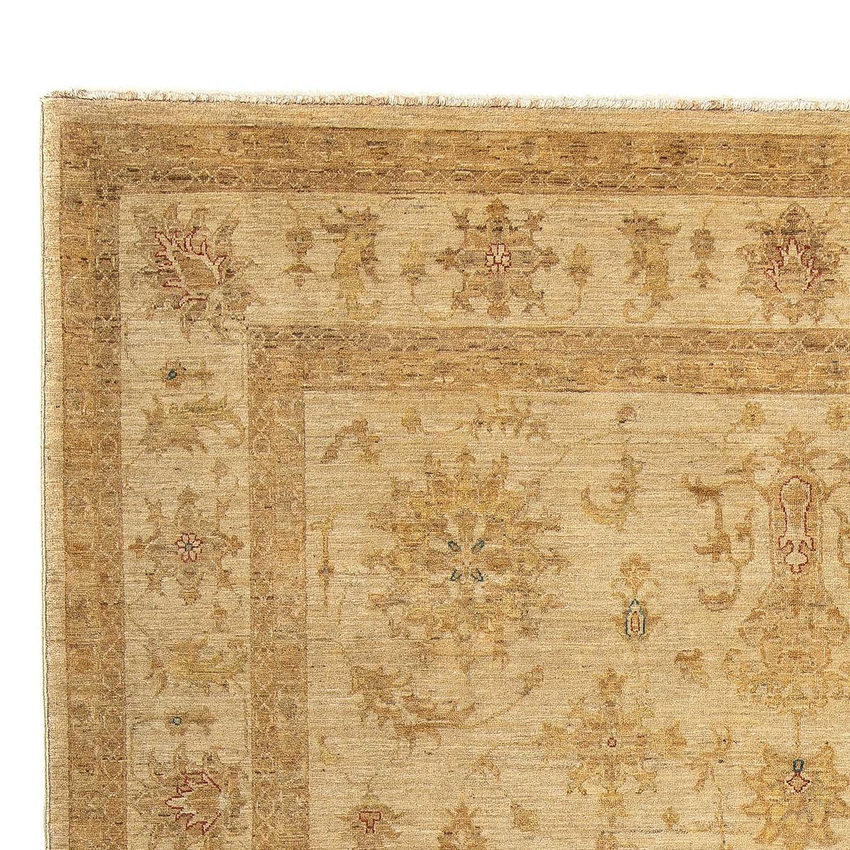Ziegler Rug - 307 x 250 cm - light brown