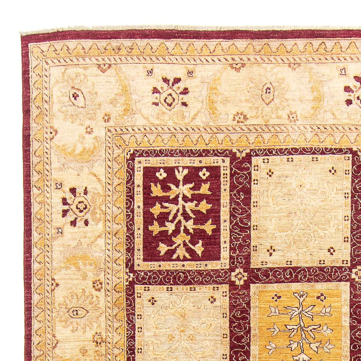 Ziegler Rug - 342 x 237 cm - beige